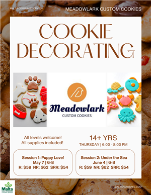 Cookie Decorating 2026