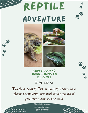 Reptile Adventure