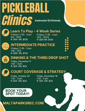 Pickleball Clinics
