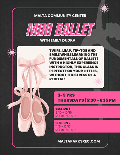 mini ballet